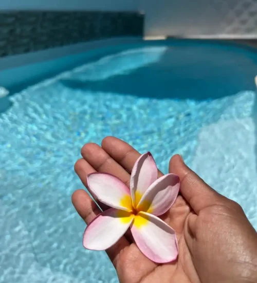 fleur dans une main a la piscine