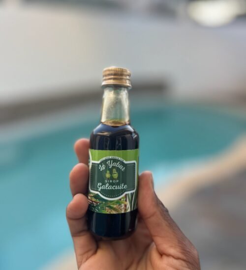 WhatsApp Image 2026-02-13 at 10.14.24