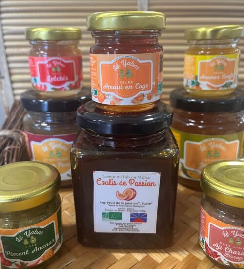 WhatsApp Image 2026-02-13 at 12.38.49 (1)